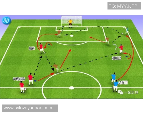 中国足球青训体系建设与发展趋势综合研究报告 中国足球青训体系建设与发展趋势综合研究报告