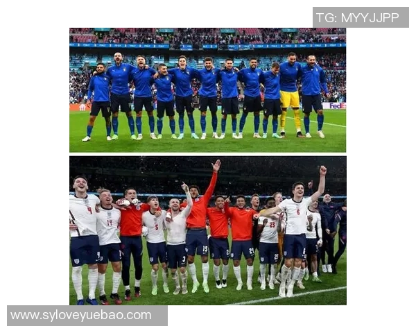 欧洲杯球迷支持与主场优势关系研究 欧洲杯球迷支持与主场优势关系研究